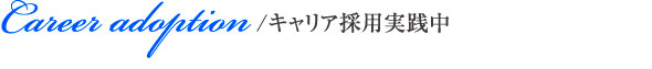 Career adoption/キャリア採用実践中